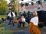 Festiwal Sołectw, 